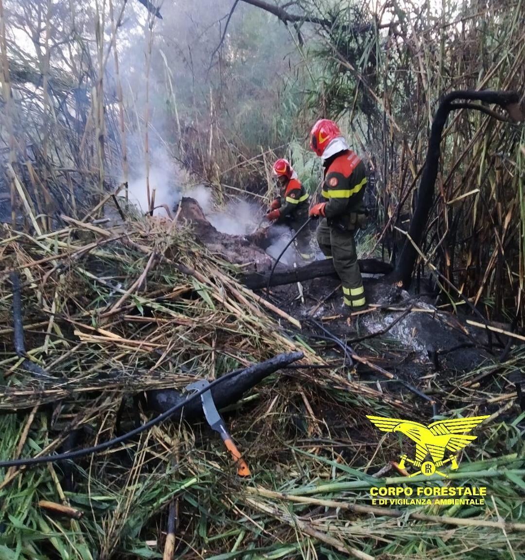 Il fuoco mangia la Sardegna da Villasor a Samugheo, 18 incendi e tanti ettari in cenere