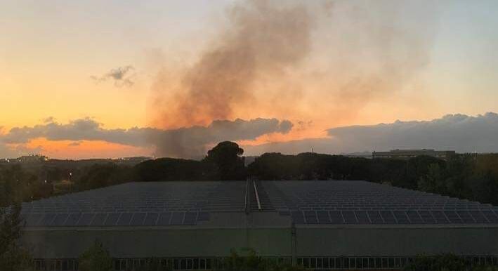 Grosso incendio dietro la Motorizzazione Civile a Cagliari: canneto in fiamme e fumo sino a Mulinu Becciu