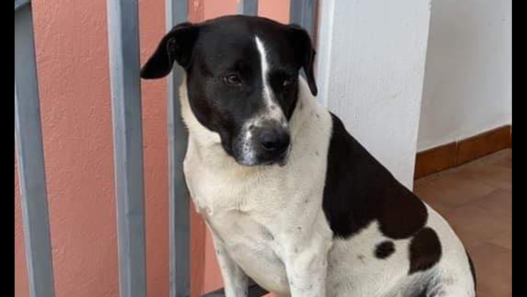 tayson