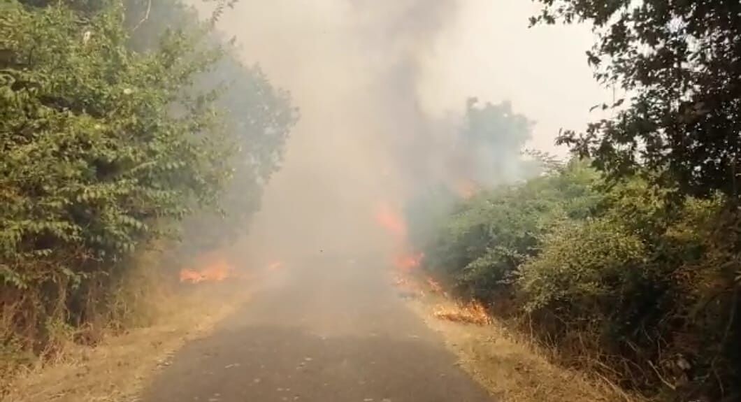 Fuoco in Sardegna, incendio devastante ad Abbasanta: evacuato un campo scout con 48 bambini