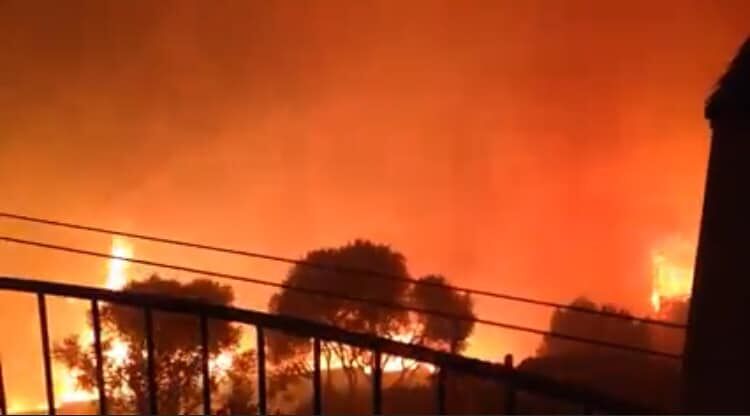 L’inferno è a Cuglieri, paese in cenere: la valle degli olivi e l’olivastro millenario non esistono più