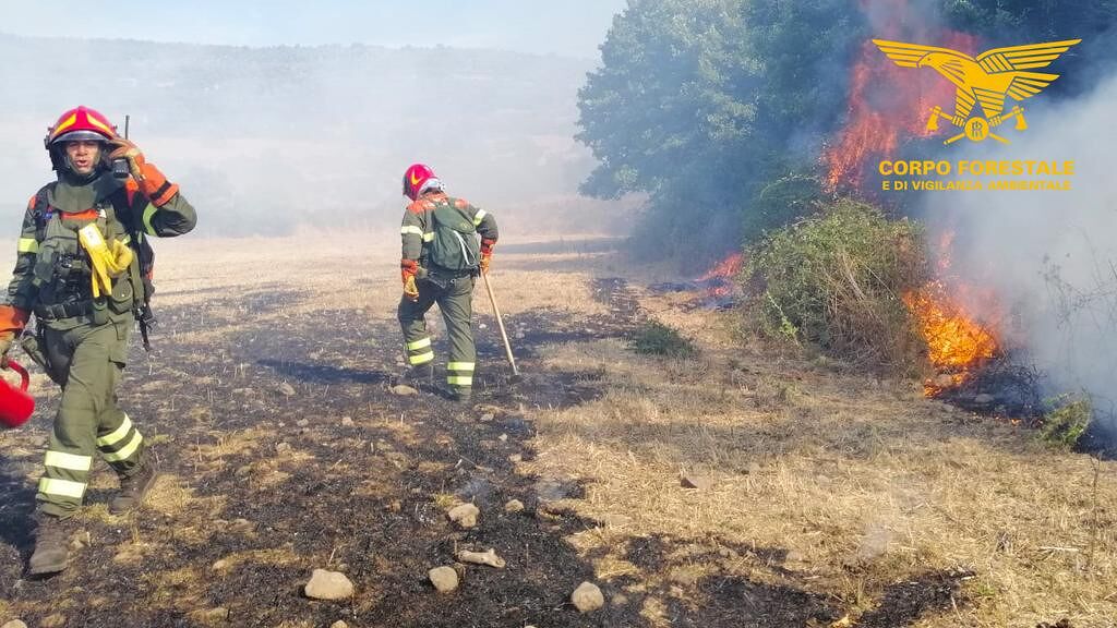 Il fuoco spaventa l’Isola, 185 forestali e 8 Canadair nell’inferno dell’Oristanese