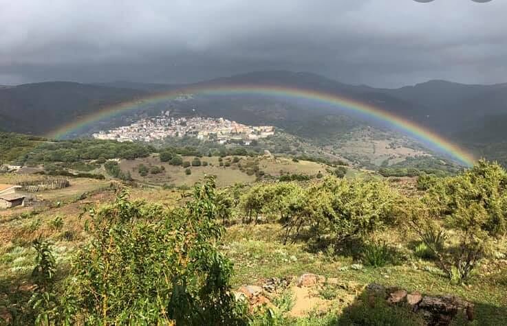 A Seulo tutti negativi al Covid i 130 ospiti del matrimonio con un positivo 