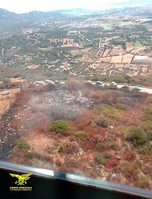 Undici roghi oggi in Sardegna: mezzi aerei in azione a Olbia e Fonni