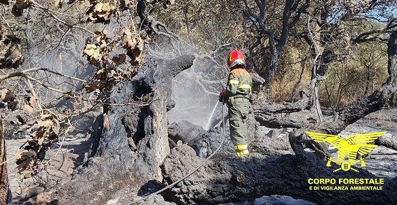 Proseguono le bonifiche nei territori dell’Oristanese devastati dagli incendi