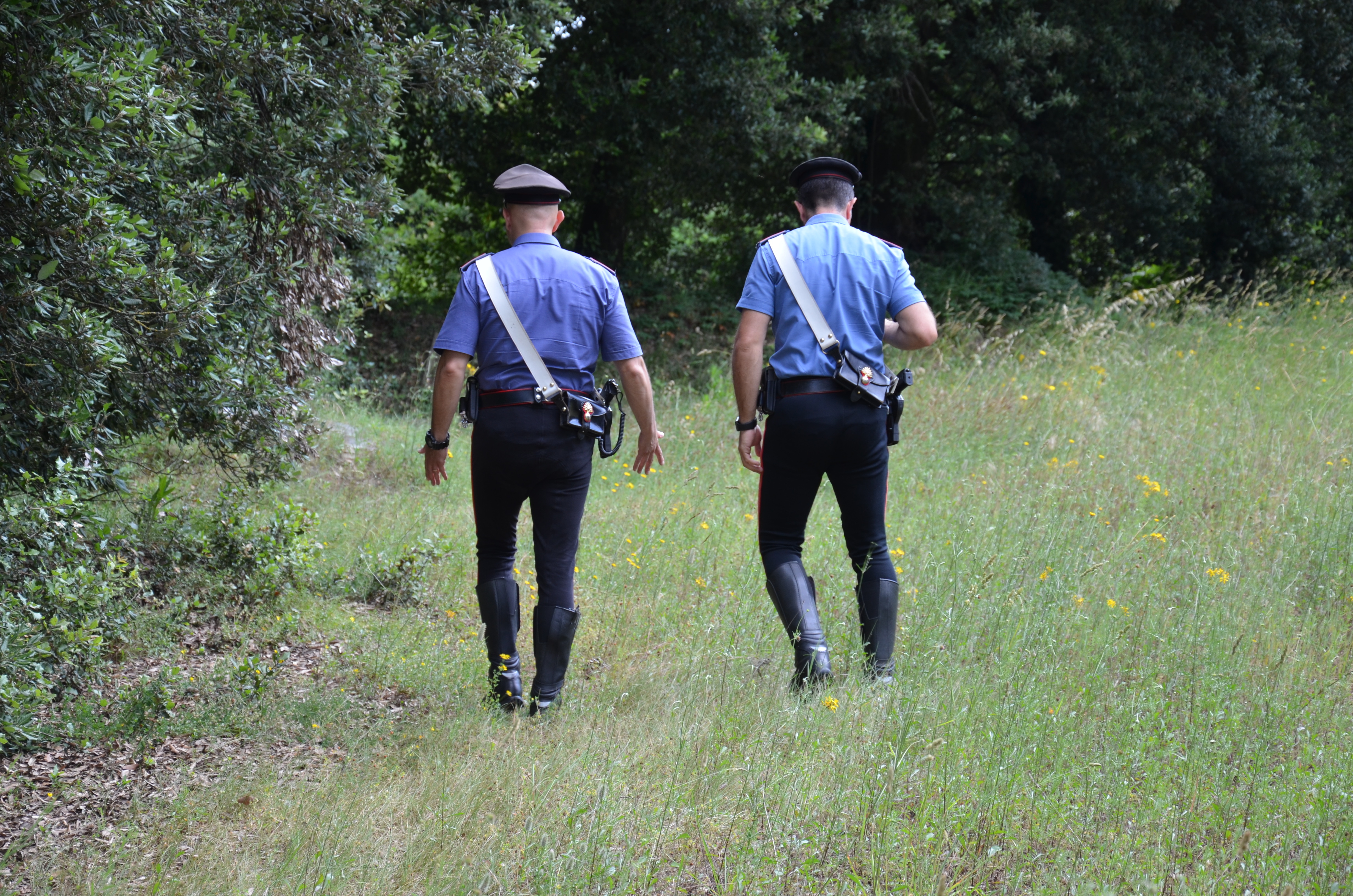 Litiga con un pastore e lo investe con l’auto, allevatore denunciato a Villasor