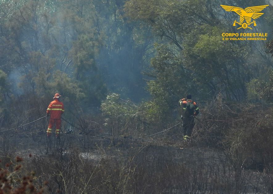 In Sardegna oggi 12 incendi, per 4 mezzi aerei in azione