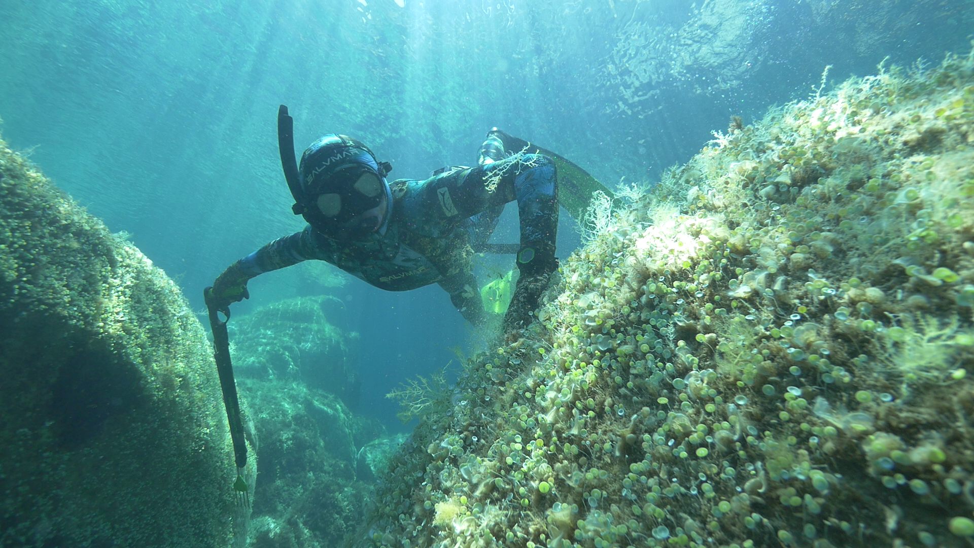 In Sardegna dopo 32 anni il campionato mondiale di pesca in apnea: la sfida nei fondali cristallini di Arbatax