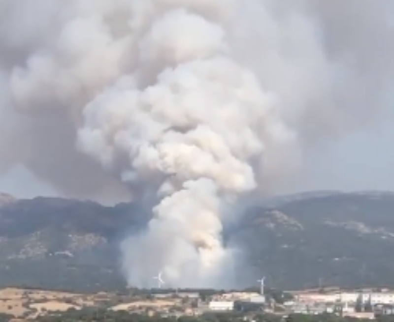 Vasto incendio a Calangianus, 4 aerei in azione per domare le fiamme: “Chiesti anche Canadair”