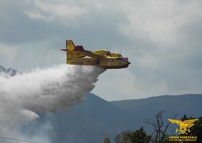 Ancora fiamme in Sardegna, elicotteri in azione a Sindia