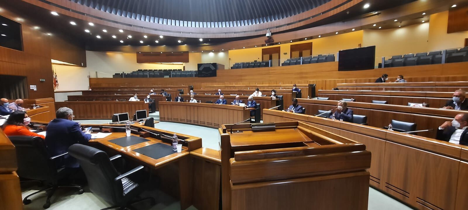 Blue tongue, 844 focolai in Sardegna: arrivano 2,5 milioni di euro per i ristori agli allevatori