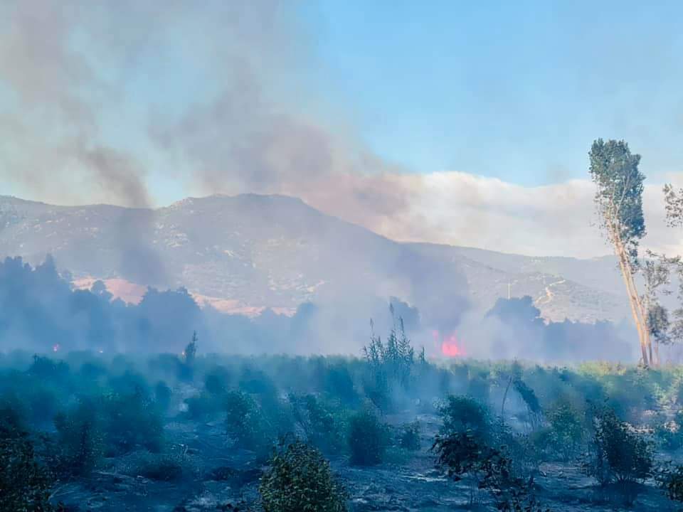 Paura a Villaputzu, vasto incendio vicino al castello di Quirra: il rogo va avanti da ore