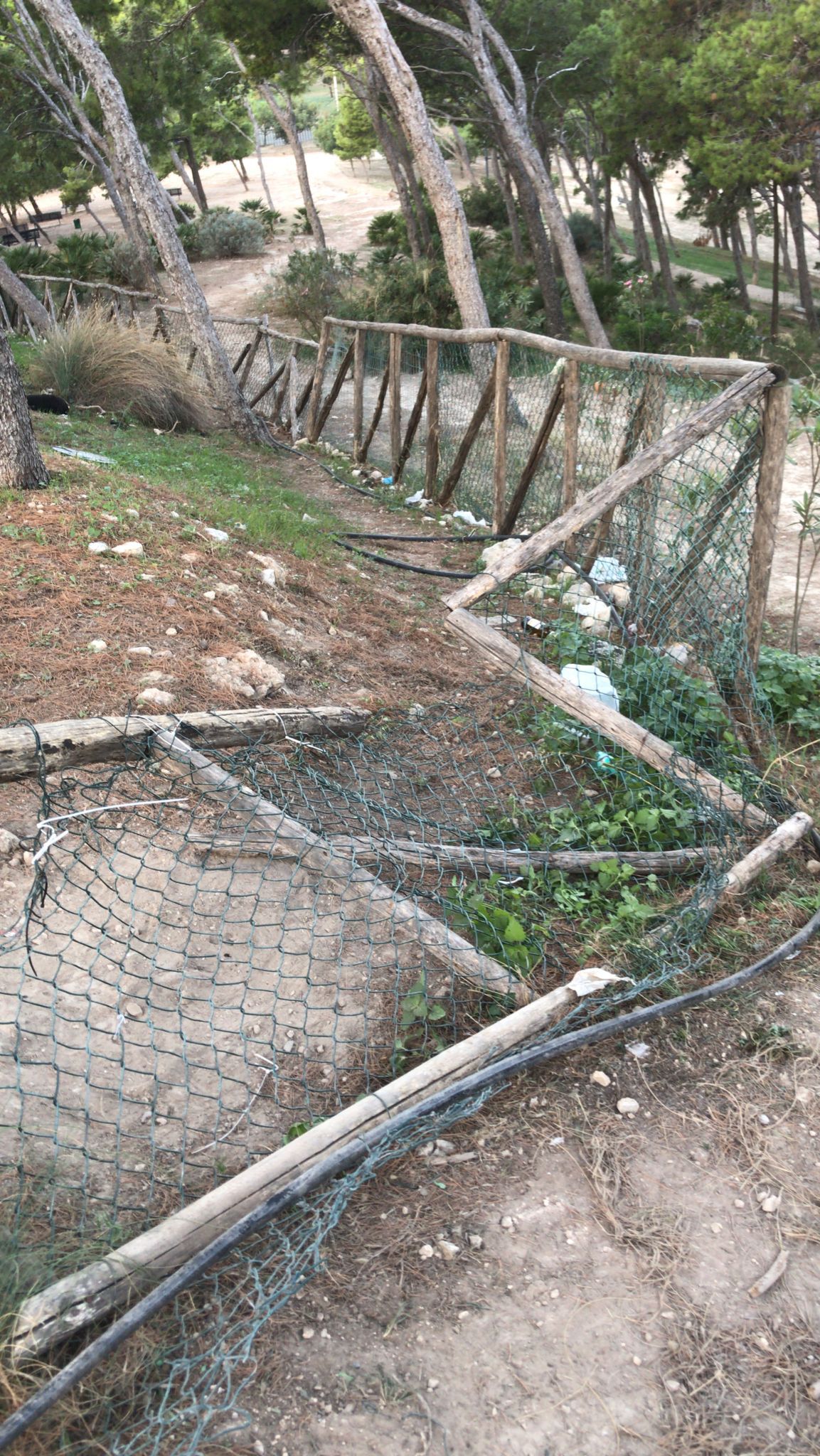 “Degrado e devastazione nell’area cani del parco di Monte Urpinu: è una vergogna”