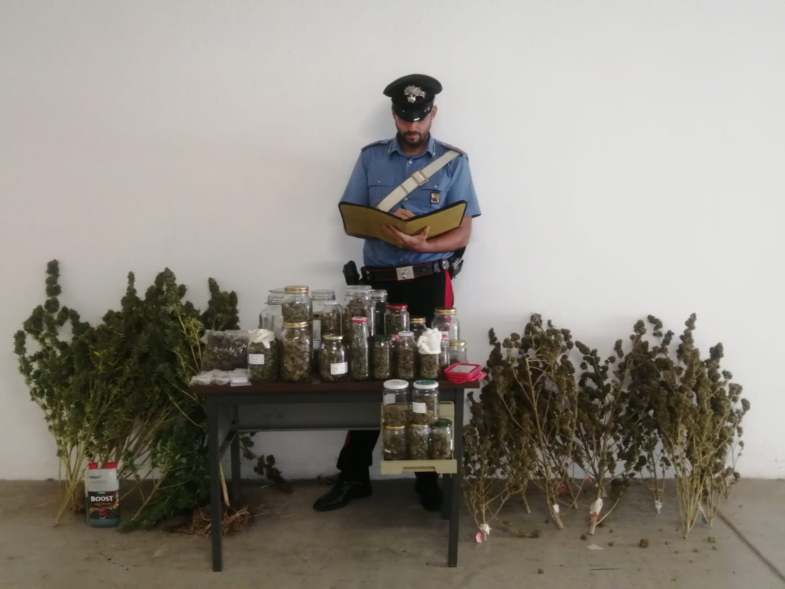 L’odore di marijuana guida i carabinieri a casa di una coppia: un arresto ad Arzachena