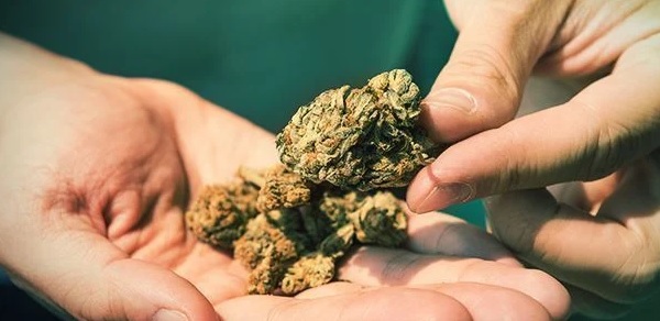 Ha 19 grammi di marijuana a casa, operaio 24enne di Cagliari nei guai