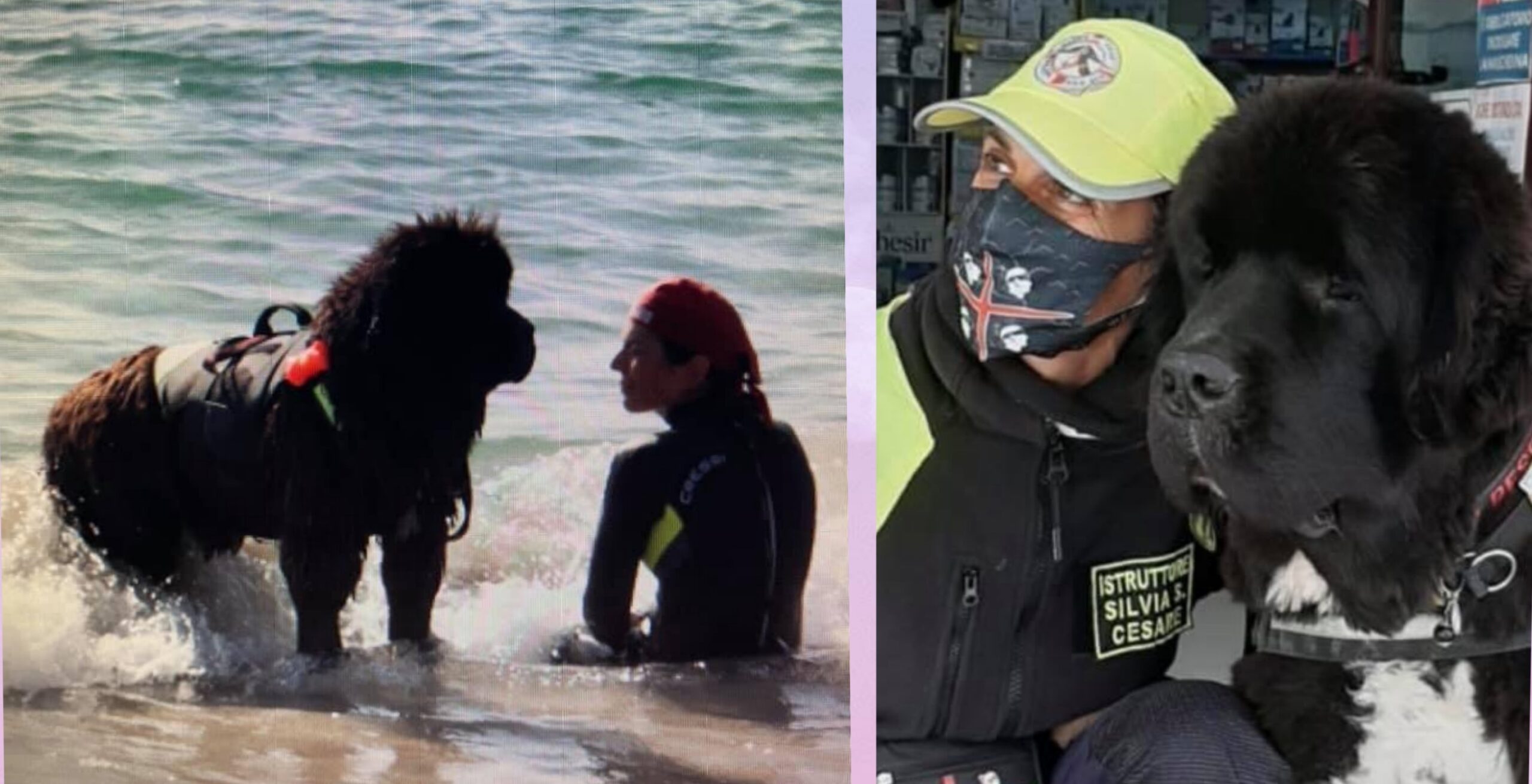A Radio Zampetta Sarda Silvia Sorrentino, l’istruttrice dei cani eroi che salvano i bagnanti in pericolo