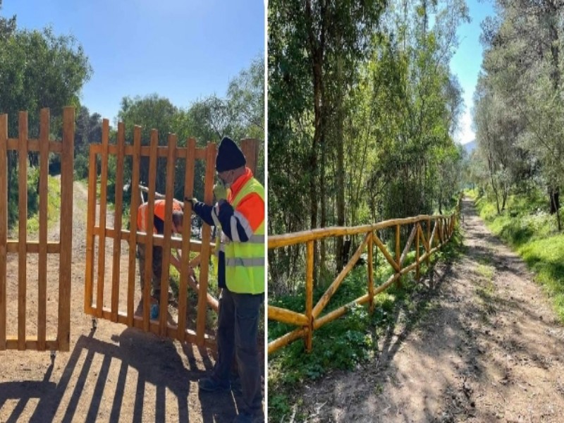A Villaputzu nasce il bike park nella pineta, pedalate e gare in mezzo alla natura
