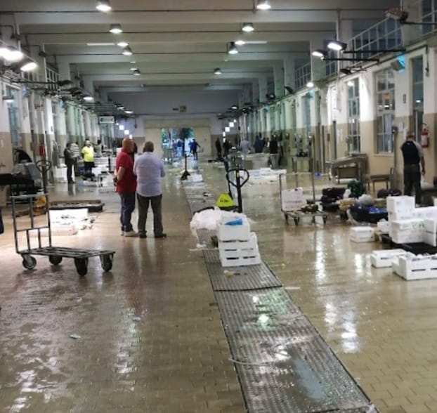 L’incubo per centinaia di aziende a Cagliari: “Il mercato ittico di viale La Playa rischia la chiusura”