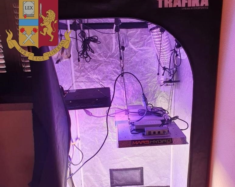 Serra di marijuana in camera da letto, arrestato un disoccupato incensurato a Villaspeciosa