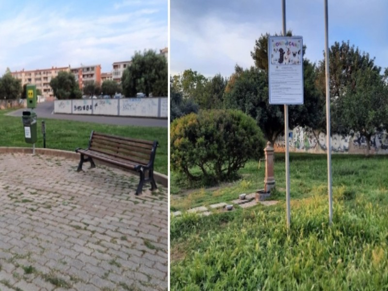 Emergenza nei parchi di Quartu: “Erbacce alte e forasacchi, pericoli per i nostri cani”