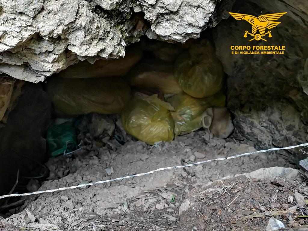 Maxi sequestro di droga a Vallermosa: trovati 340 kg di marijuana del valore di 1, 5 milioni di euro
