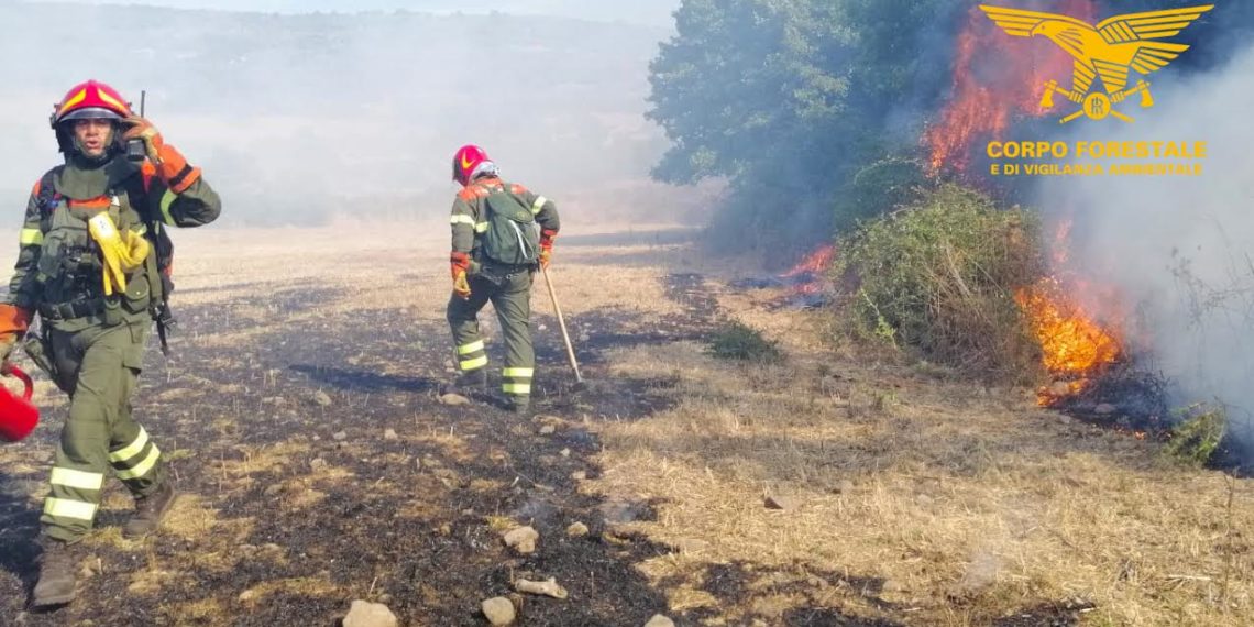 Via libera dei giudici al concorso della Regione: Forestale vietata agli over 30 in Sardegna