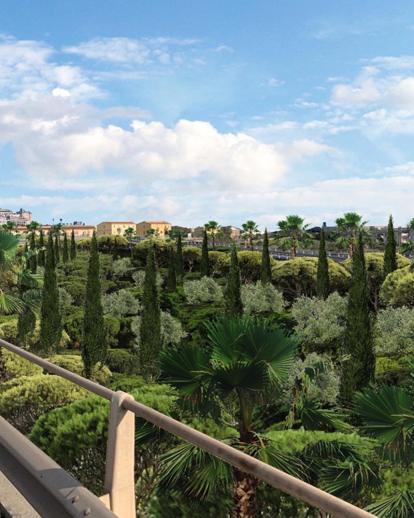 Cagliari, l’annuncio del sindaco Truzzu: “Una foresta urbana in via San Paolo”