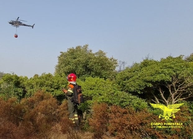 Dieci incendi oggi in Sardegna, sono 40 in appena 4 giorni