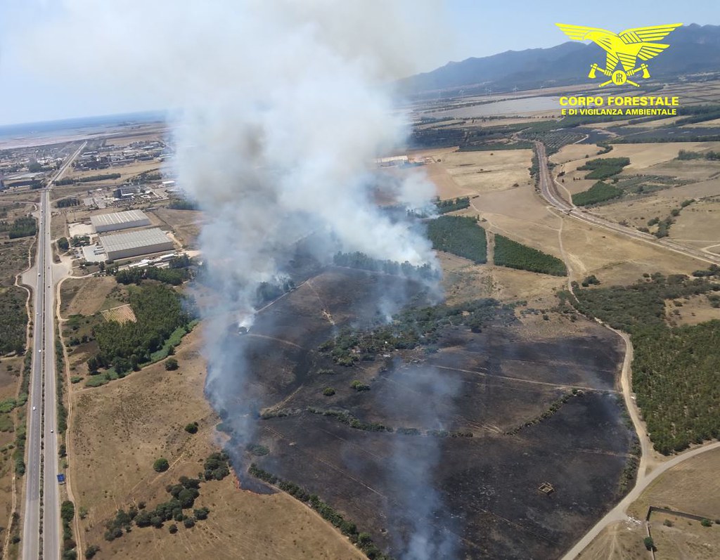 Paura a Capoterra, in fiamme un uliveto sulla Sulcitana