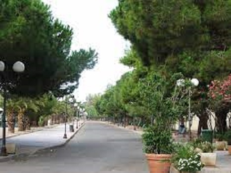 Oristano, l’allarme degli ecologisti: “Vogliono tagliare i pini del lungomare a Torregrande”
