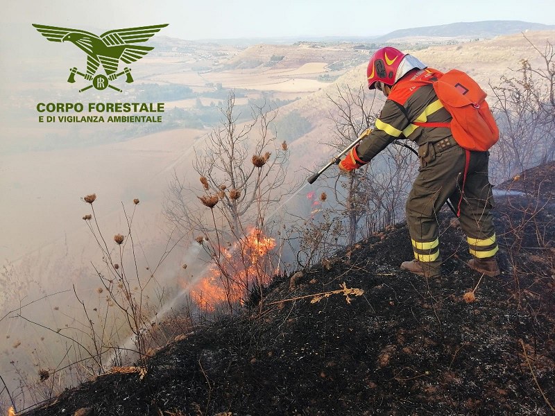 La Sardegna brucia in mezzo a un calore super: 23 roghi nell’Isola, un sabato di fuoco