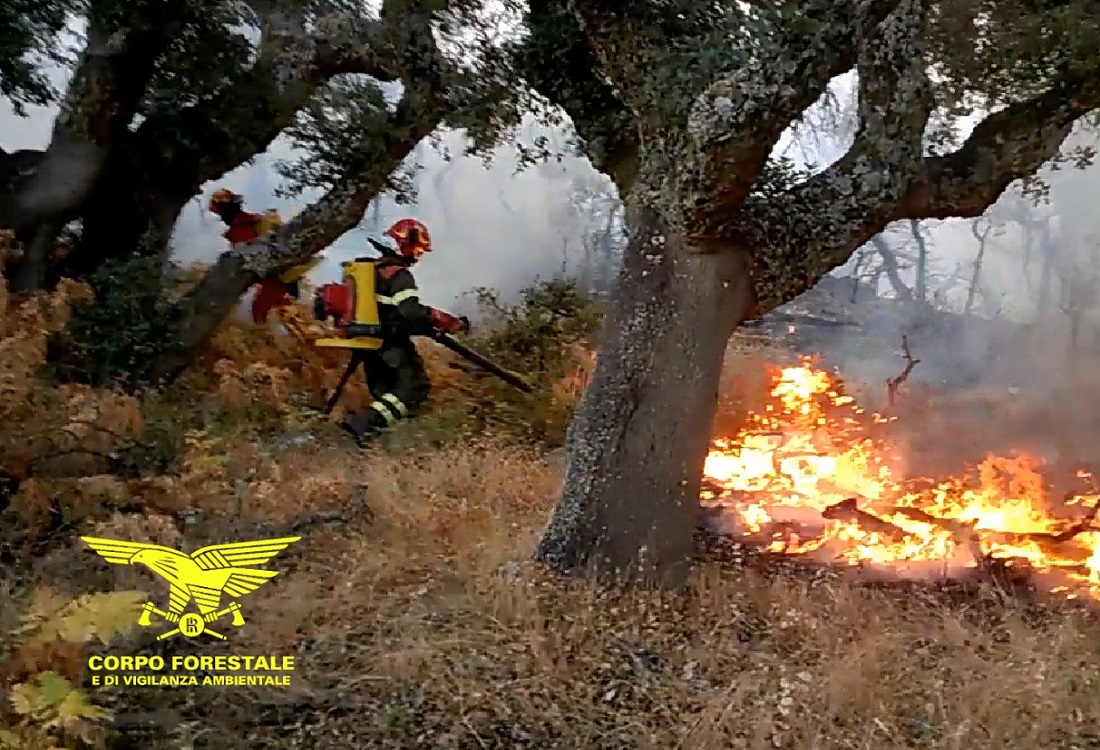 Maxi incendio spaventa Orosei: le fiamme minacciano le case