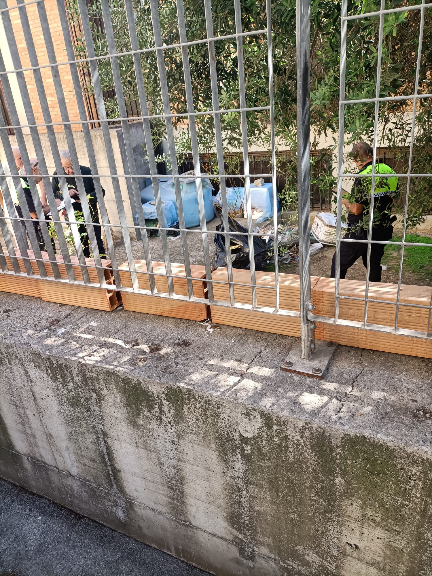 “San Michele, preti intolleranti con trenta gatti continuano a mandarli via: serve un accordo”