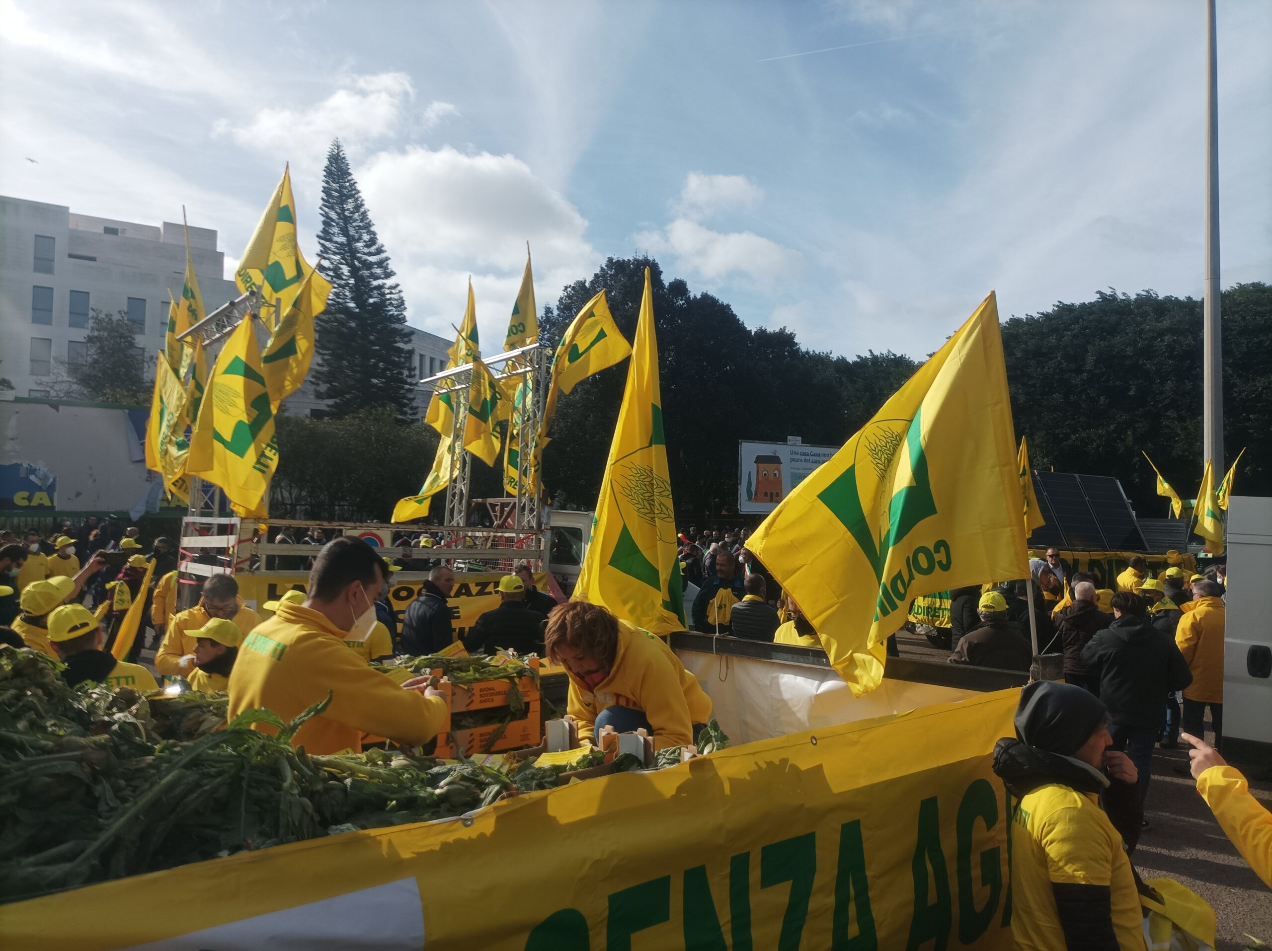 Gli agricoltori sardi furiosi: “17mila richieste di rimborsi per la siccità bocciate dalla Regione”