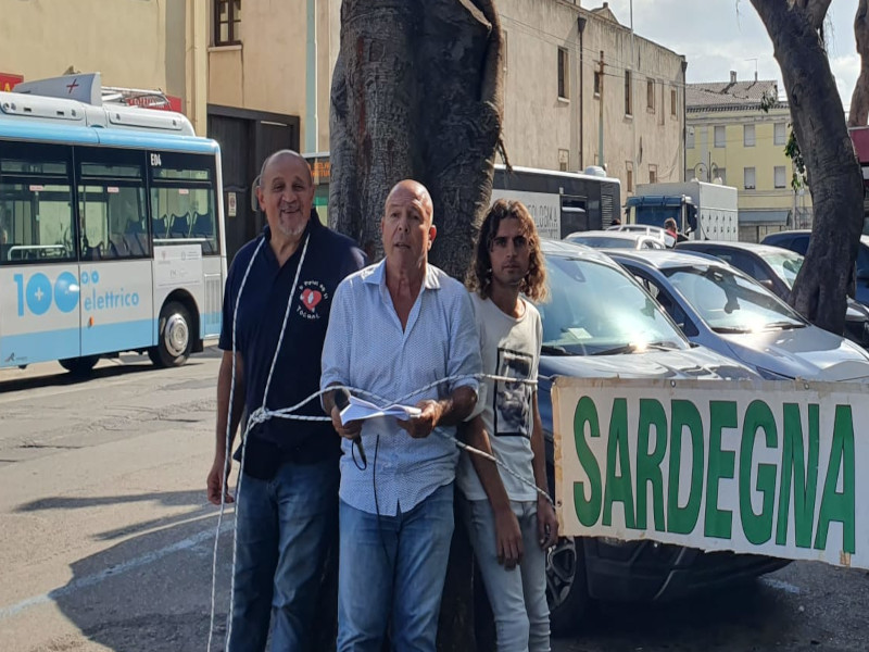 Quartu, gli ecologisti si legano ai ficus e scrivono alla Procura: “Bloccate i tagli selvaggi”