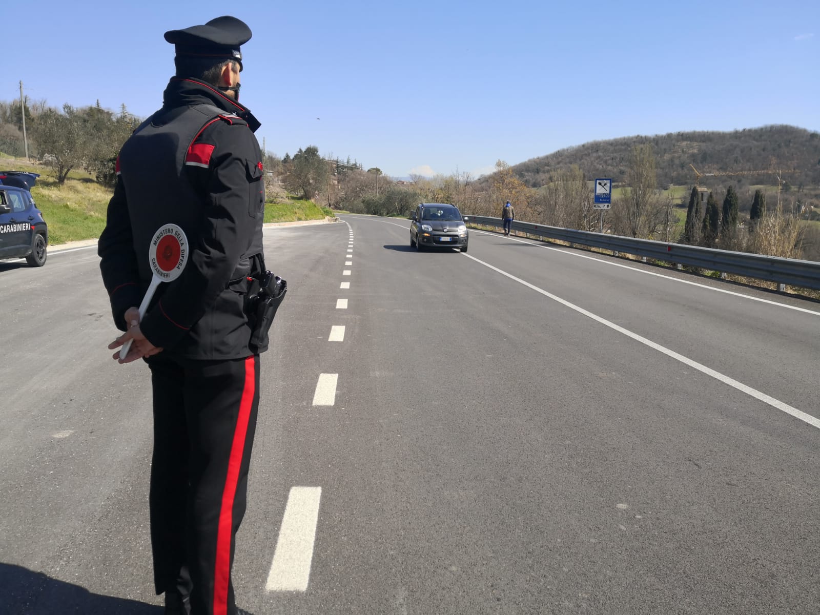 San Vito, colpisce con l’auto una vacca sulla Ss 387: 49enne in ospedale