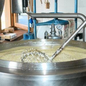 Intossicati mentre preparavano formaggio in garage: due pastori ricoverati a Cagliari