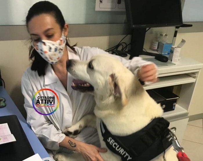 Sanluri, presto riaprirà l’ambulatorio veterinario di Marcello Lampis e  Maristella Tinti