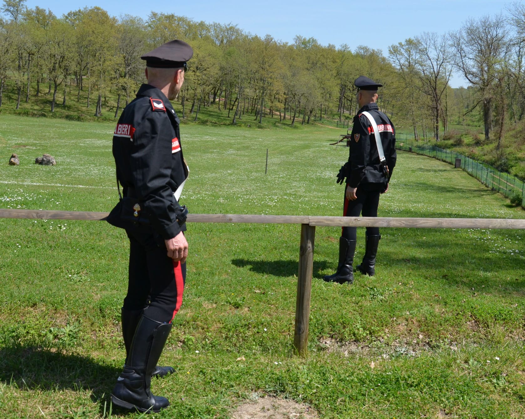 San Vito, abbattono eucaliptus dal terreno altrui per farne legna: denunciati due fratelli e la madre 80enne