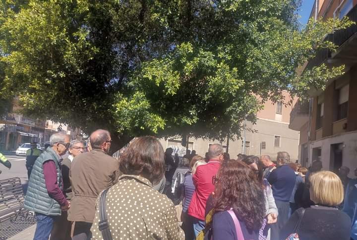 Monserrato, protesta pacifica per la festa degli alberi centenari: “Giù le mani dai ficus, devono rimanere qui”