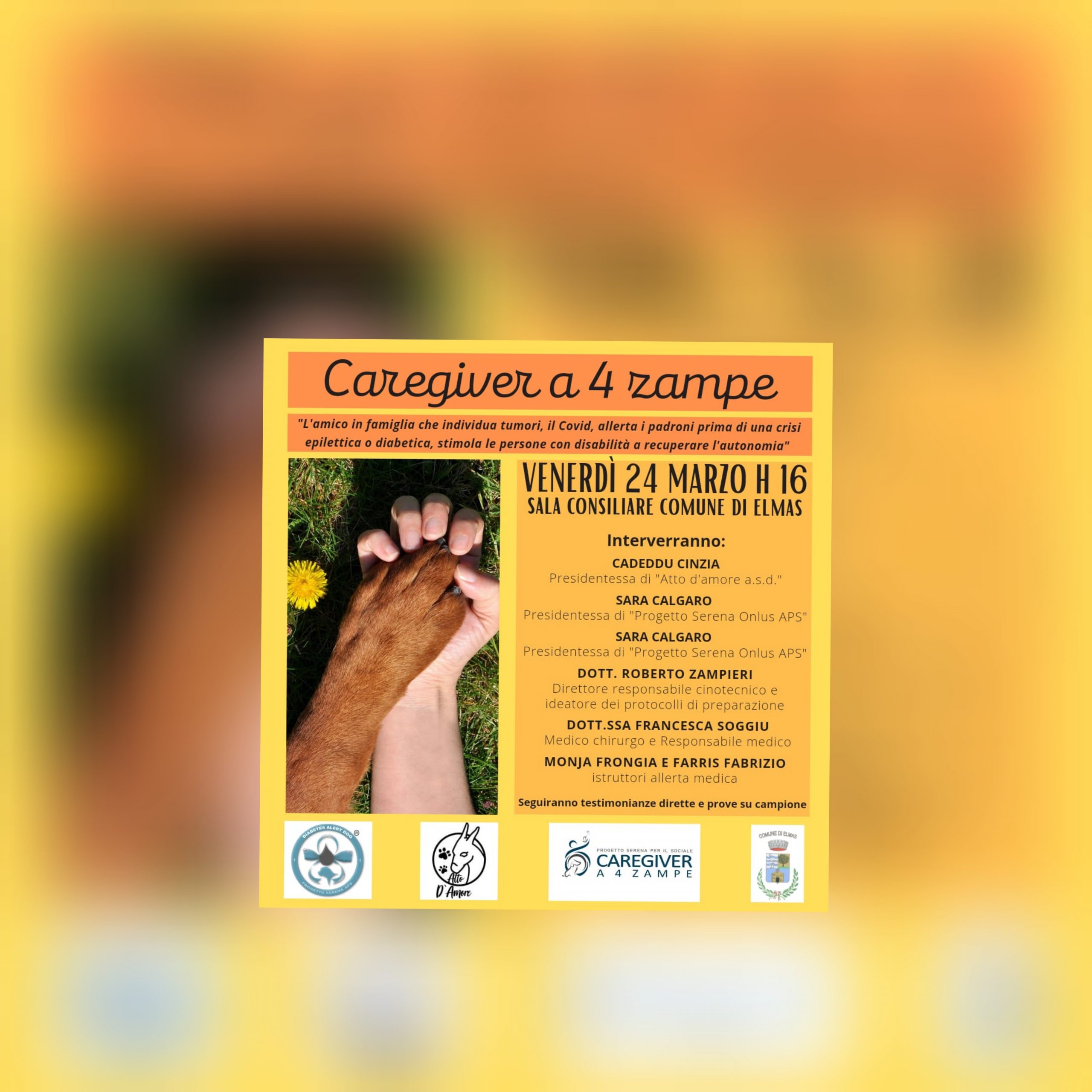Caregiver a 4 zampe: l’amico in famiglia che individua tumori, diabete e crisi epilettiche