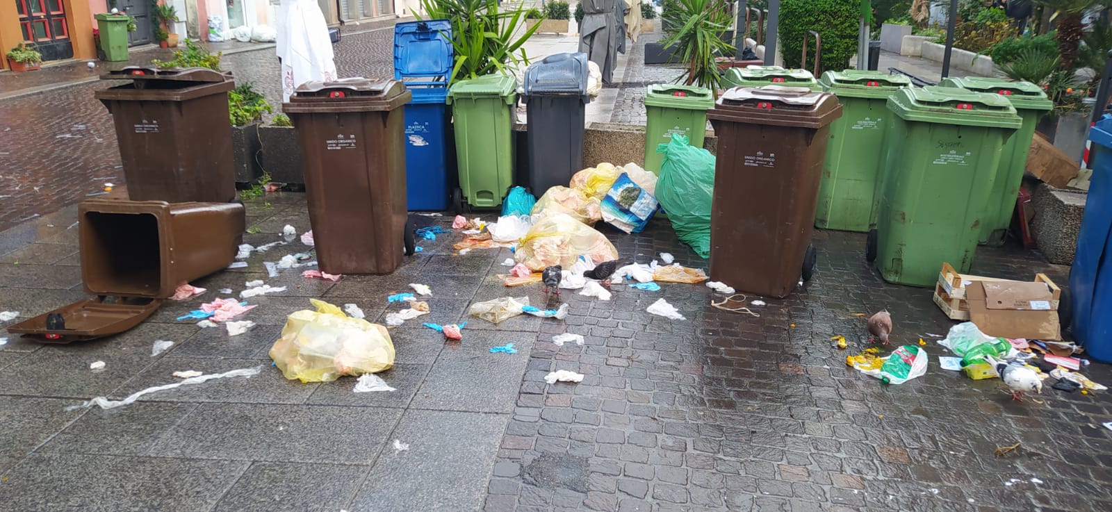 Cagliari, lasciavano mastelli e spazzatura nella strada: 22 locali chiusi per un giorno a Cagliari