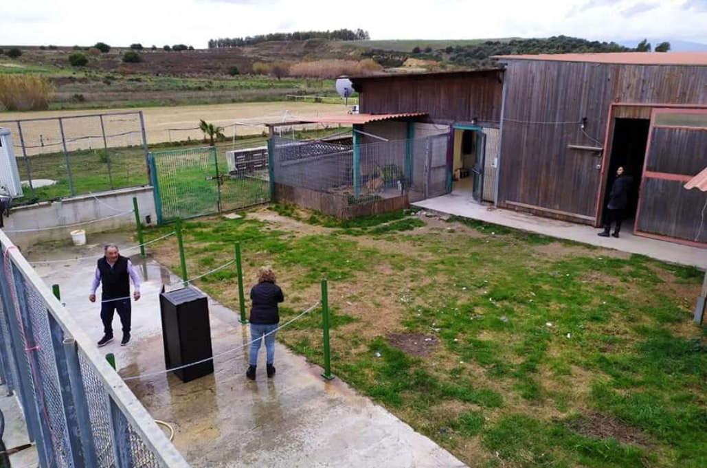 Monastir, razzia al centro ippico: rubate le selle e copertine dei cavalli