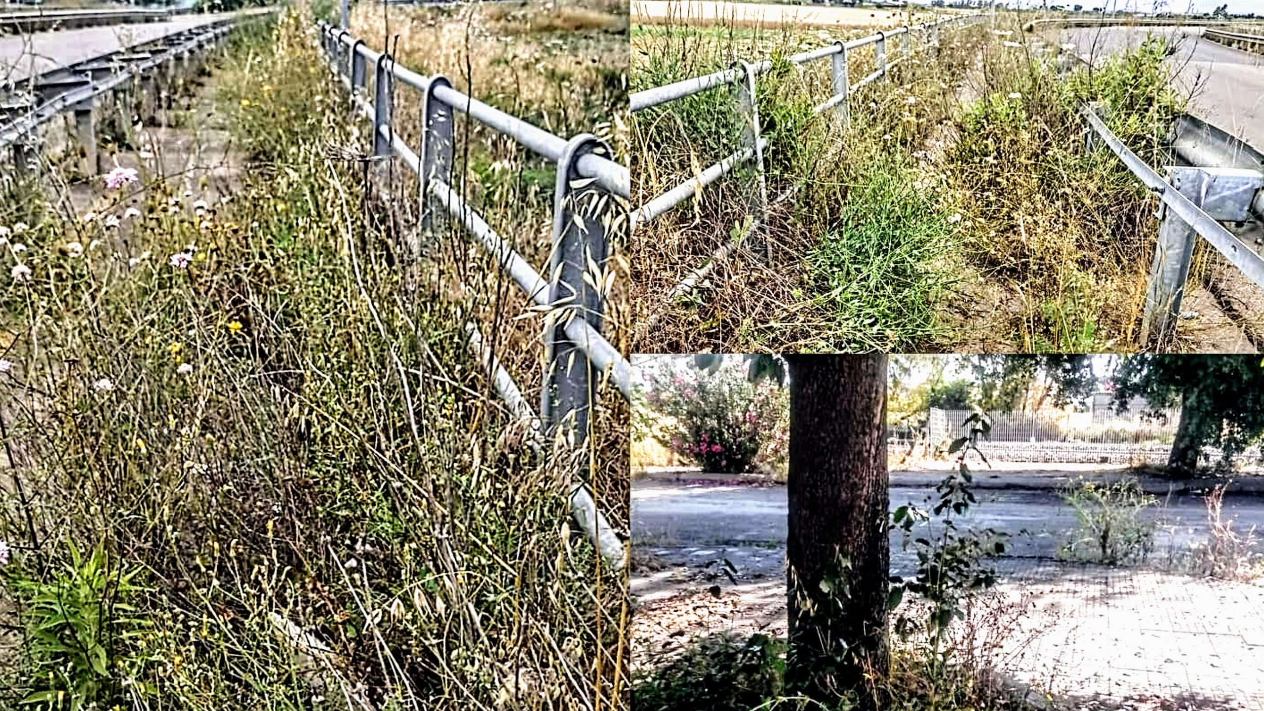Invasione di erbacce a Serramanna, ironia nei cartelli: “Circonvallazione in fiore”