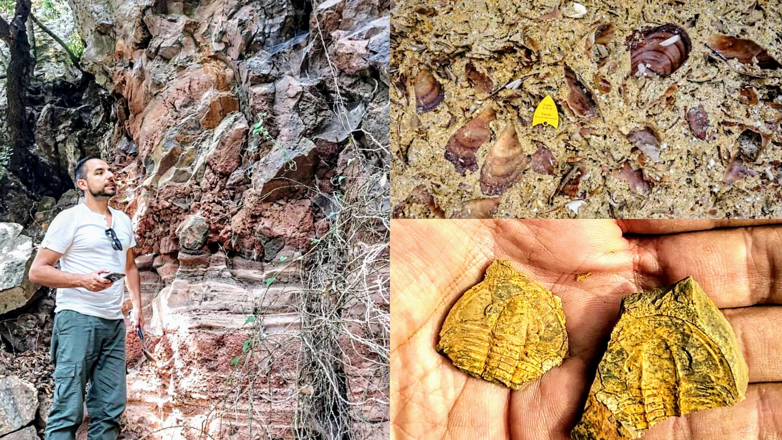 A spasso nel tempo in Sardegna tra rocce, minerali e fossili