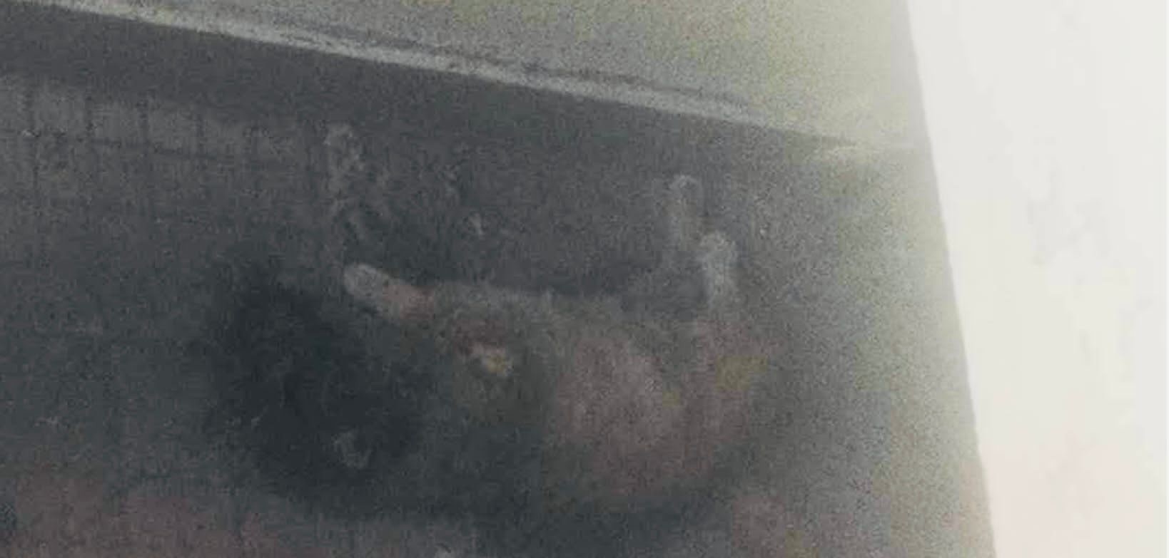 Capoterra, un gatto morto nel sottoscala della guardia medica da una settimana