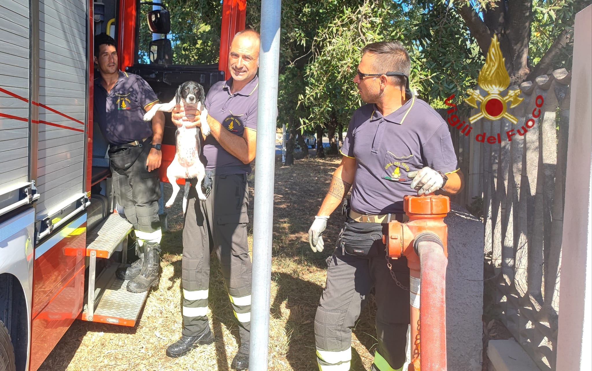 Muravera, cagnolino vaga tra le auto sulla Ss 125: soccorso dai vigili del fuoco