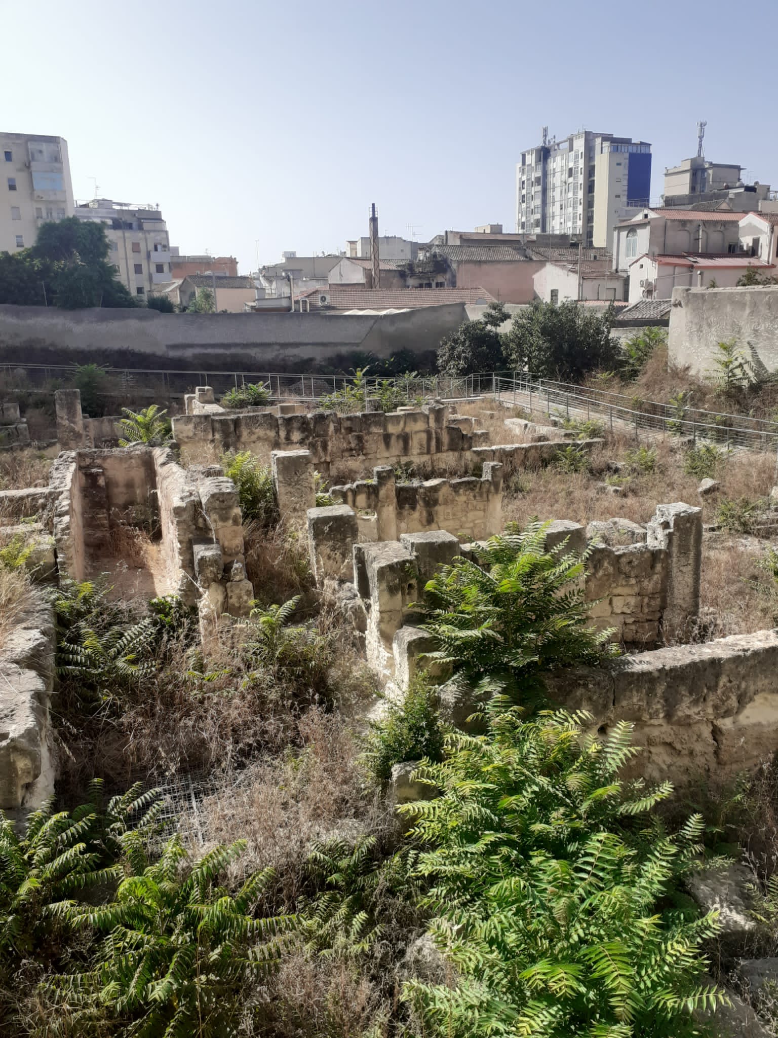 Villa Tigellio, le sterpaglie sono più alte dei resti del monumento: “Ora c’è anche il rischio incendi”