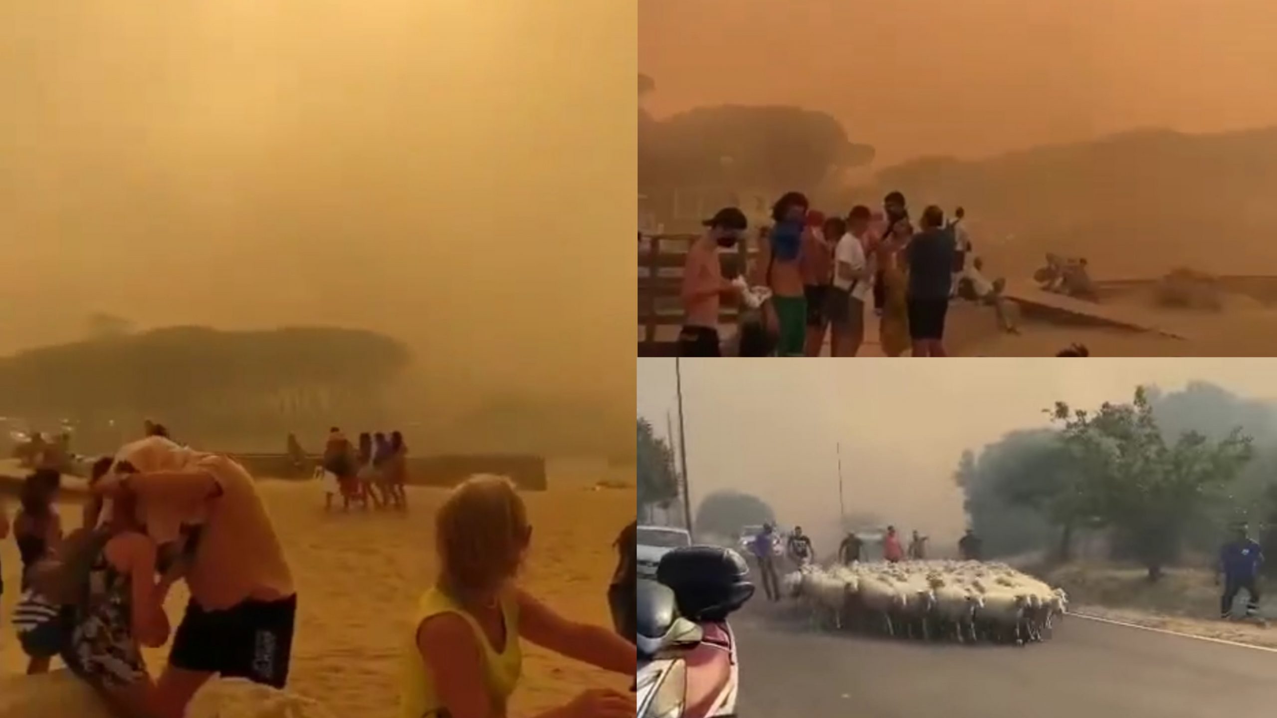 Sardegna, 600 persone evacuate in una domenica infernale: immagini choc dal Nuorese
