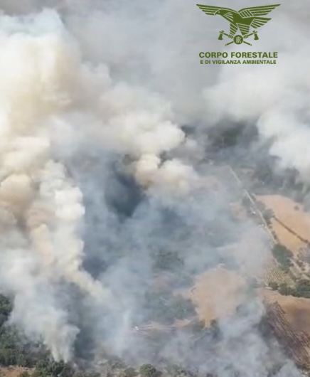 Maxi rogo divora 150 ettari di sughereti, alberi secolari e macchia mediterranea in Sardegna
